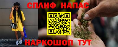 гидра Тара