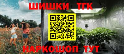 дмт Тверь