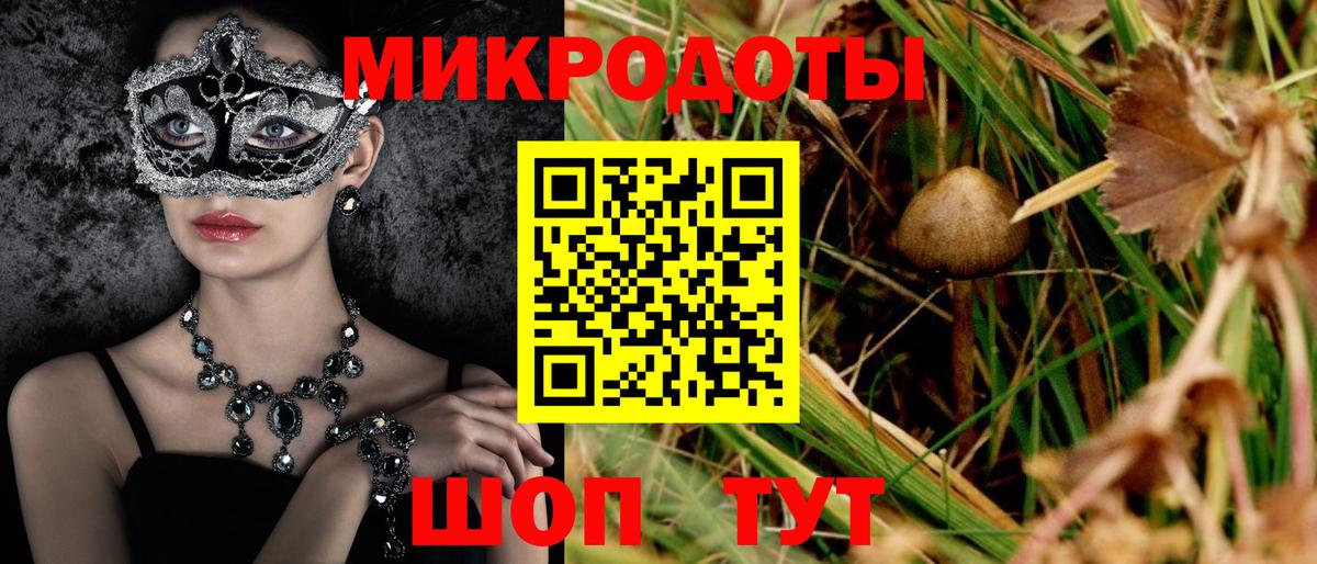 Псилоцибиновые грибы Cubensis Алушта